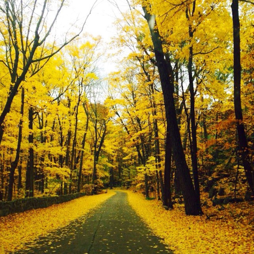 Sauk County, Wisconsin